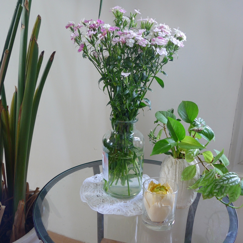 北歐花瓶ins風宜家家居裝飾花器擺件飾品透明玻璃瓶水培花瓶